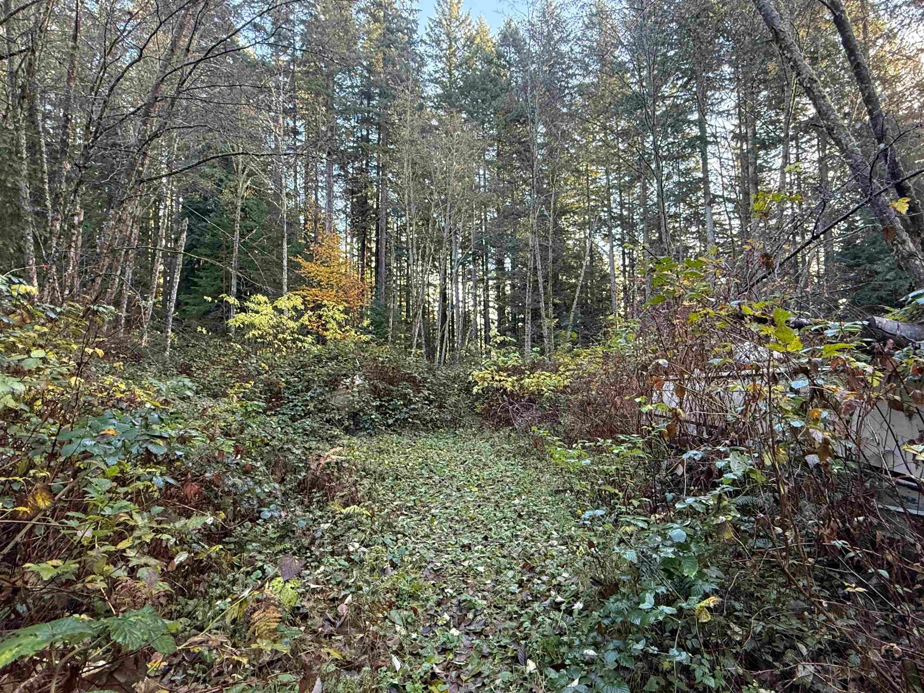 Lot for sale in Gibsons, Sunshine Coast, 1594 Cemetery Road, 263090918 | Realtylink.org