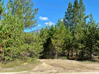 Lot for sale in Valemount, Robson Valley, 1170 14th Avenue, 263090993 | Realtylink.org
