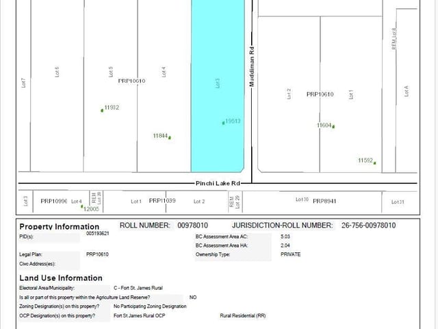 Lot for sale in Fort St. James, Fort St. James, Lot 3 Pinchi Lake Road, 263092591 | Realtylink.org