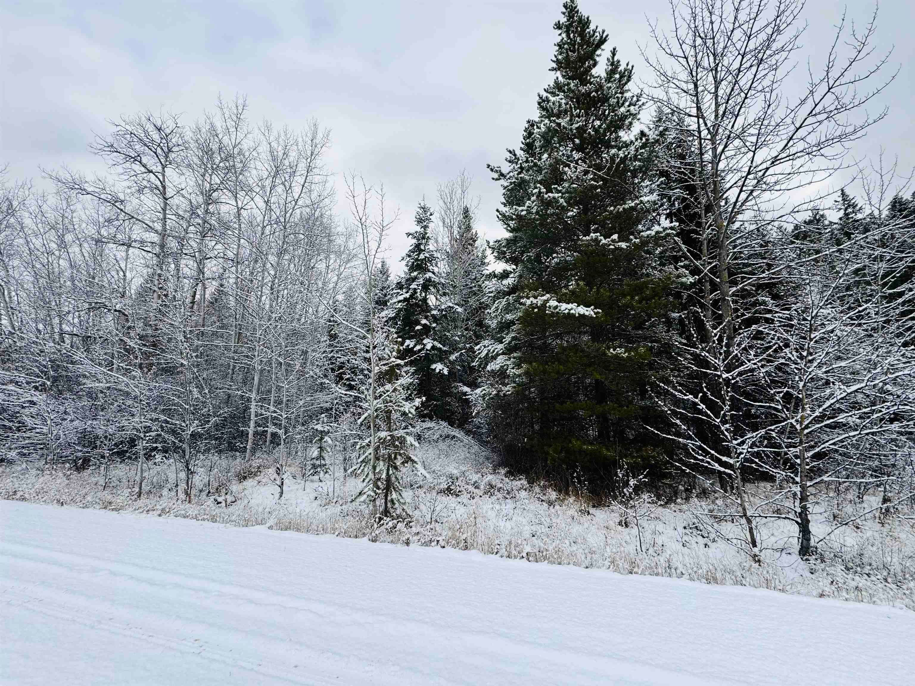 Lot for sale in Valemount, Robson Valley, LOT 11 Essen Road, 263092978 | Realtylink.org