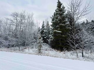Lot for sale in Valemount, Robson Valley, LOT 11 Essen Road, 263092978 | Realtylink.org
