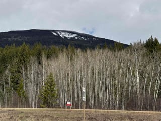 Lot for sale in Valemount, Robson Valley, LOT 11 Essen Road, 263092978 | Realtylink.org