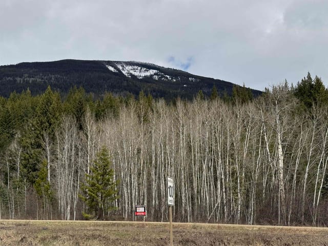 Lot for sale in Valemount, Robson Valley, LOT 11 Essen Road, 263092978 | Realtylink.org