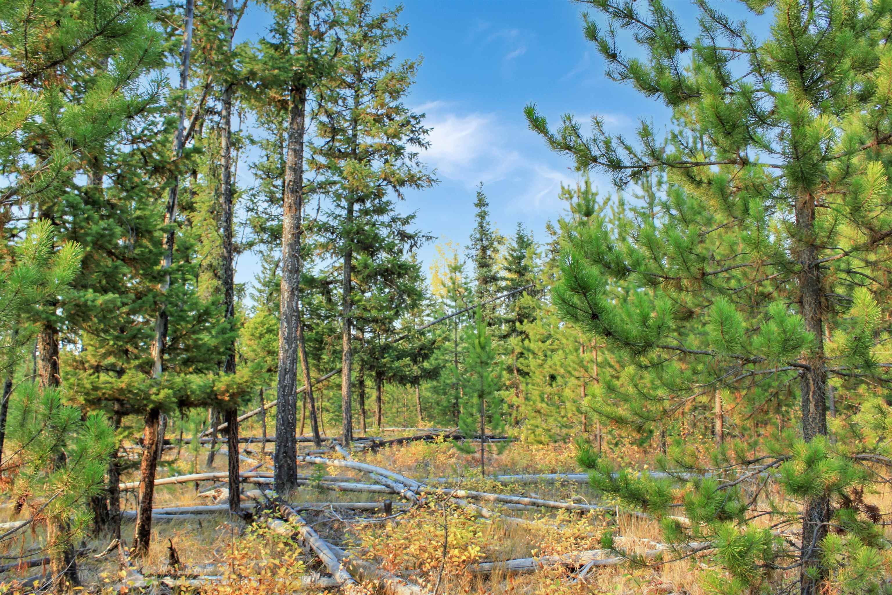 Lot for sale in Bridge Lake, 100 Mile House, PROP Lot 4 Brown Road, 263093489 | Realtylink.org