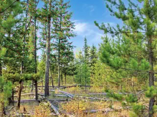 Lot for sale in Bridge Lake, 100 Mile House, PROP Lot 4 Brown Road, 263093489 | Realtylink.org