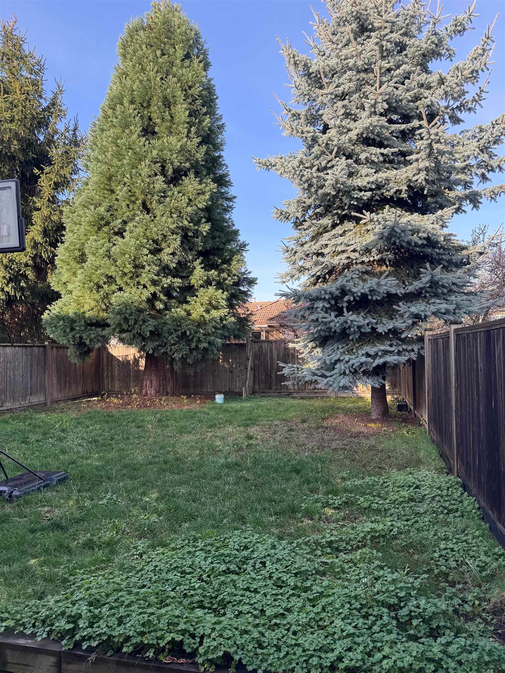 Other Property for rent in Burnaby, Burnaby East, 7305 11th Avenue, 263093515 | Realtylink.org