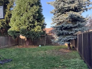 Other Property for rent in Burnaby, Burnaby East, 7305 11th Avenue, 263093515 | Realtylink.org