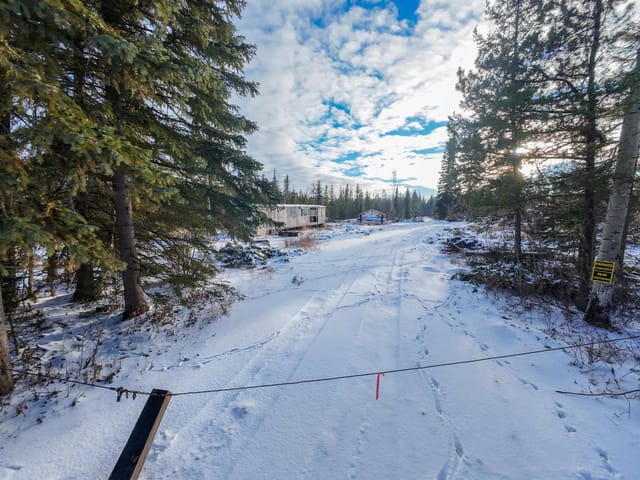 Lot for sale in Hixon, PG Rural South, 4105 Carver Road, 263094261 | Realtylink.org