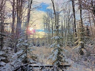 Lot for sale in Burns Lake, Burns Lake, FRAC N1/2 Dl 2557 Binta Road, 263094284 | Realtylink.org