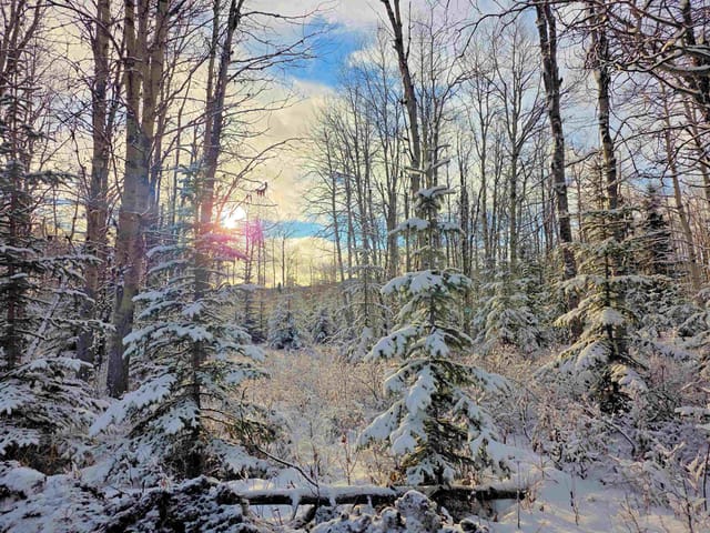 Lot for sale in Burns Lake, Burns Lake, FRAC N1/2 Dl 2557 Binta Road, 263094284 | Realtylink.org