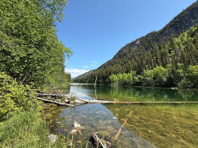 Lot for sale in Birken, Dl 2401 Sucker Lake Road, 263094897 | Realtylink.org