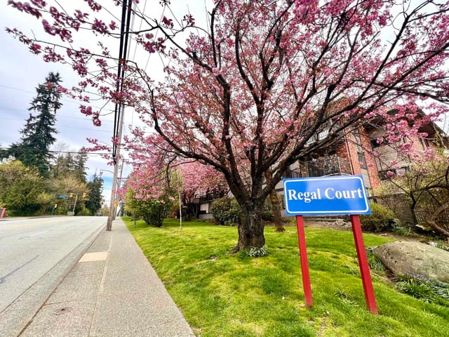 Apartment for sale in Coquitlam, Coquitlam, 202 535 Blue Mountain Street, 263095053 | Realtylink.org