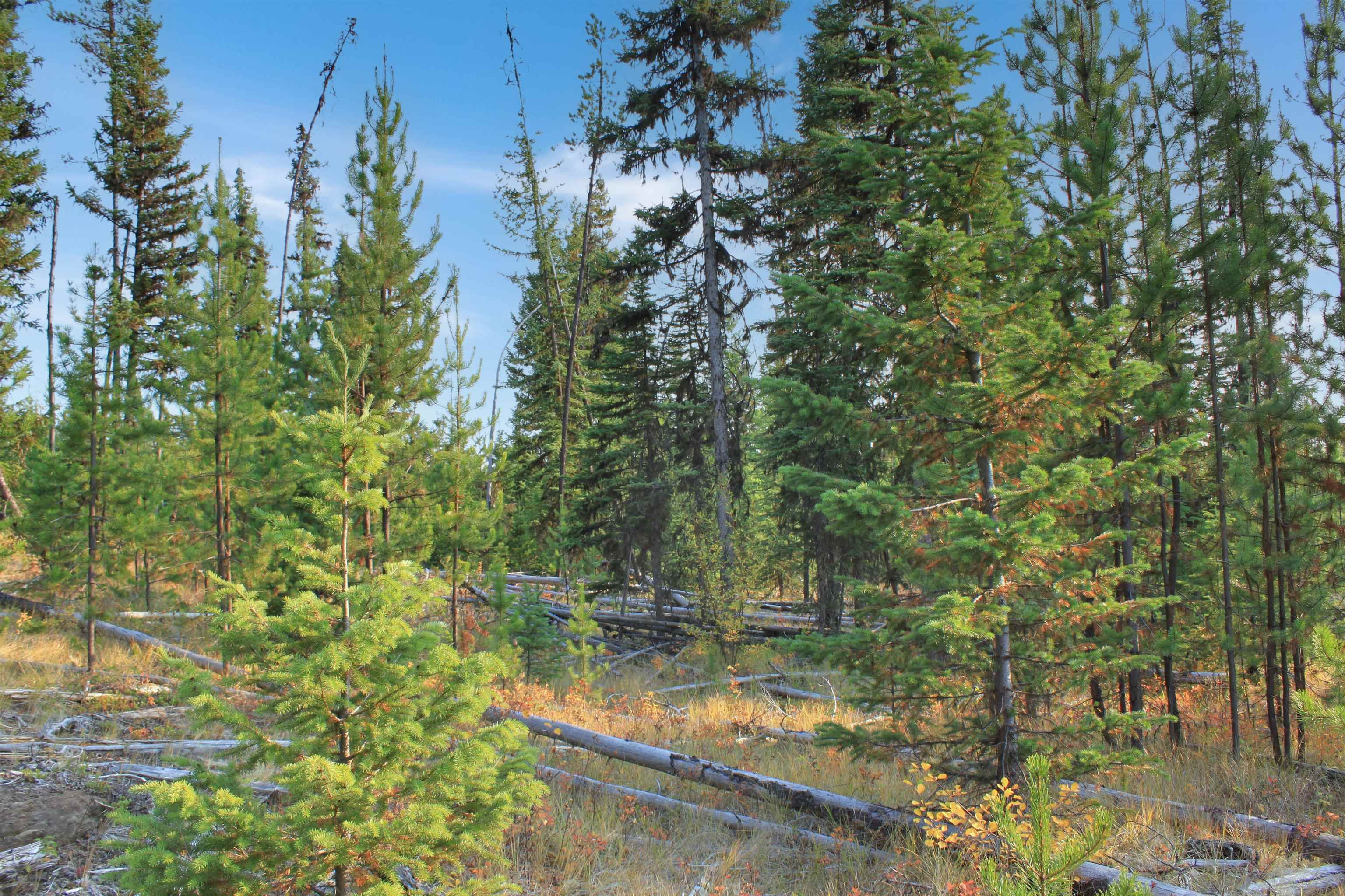 Lot for sale in Bridge Lake, 100 Mile House, PROP Lot 12 Brown Road, 263095226 | Realtylink.org