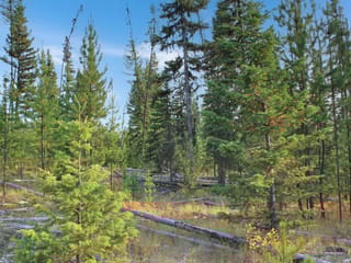 Lot for sale in Bridge Lake, 100 Mile House, PROP Lot 12 Brown Road, 263095226 | Realtylink.org