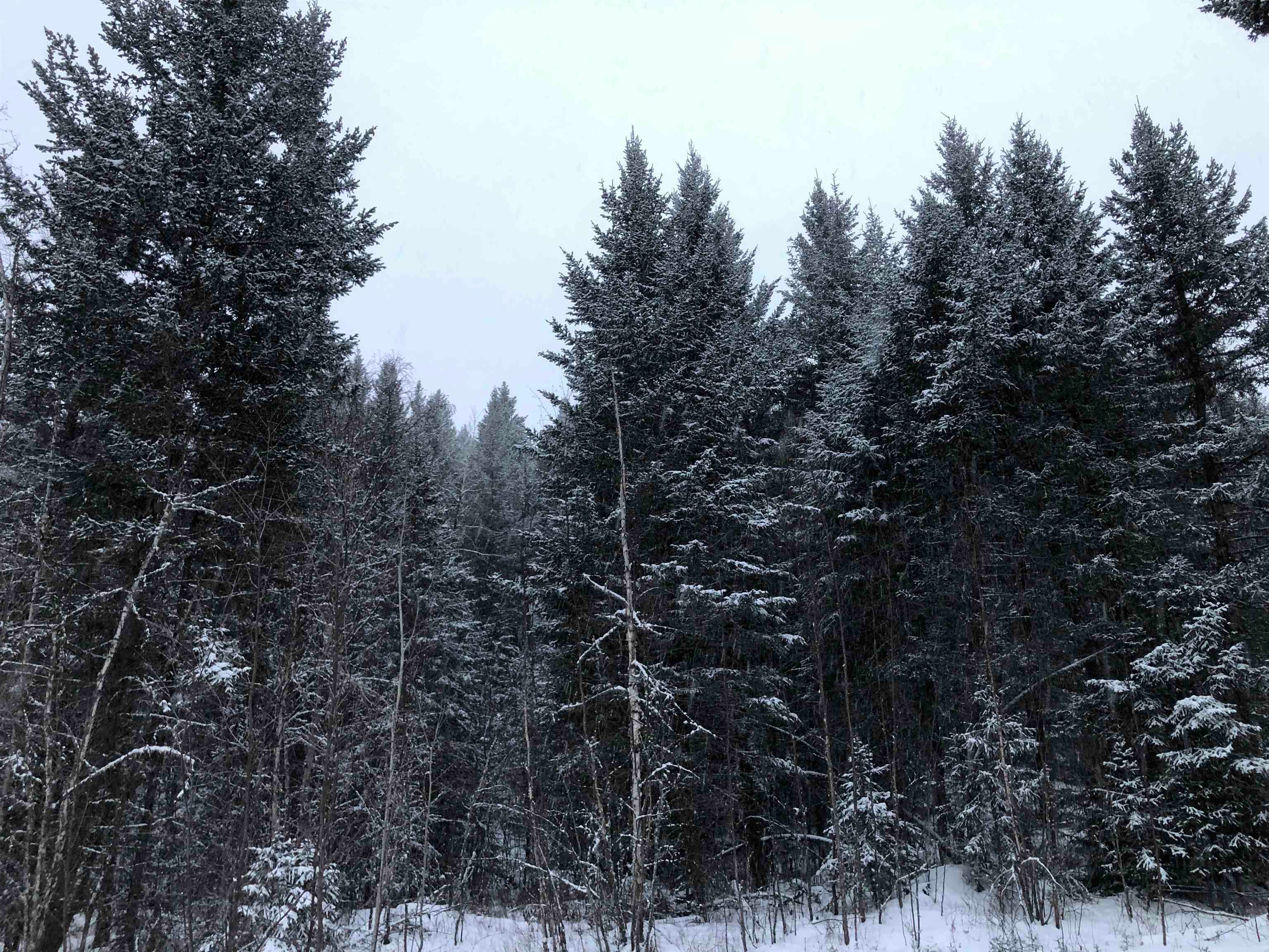 Lot for sale in 103 Mile House, 100 Mile House, Lot 9 Gold Road, 263095389 | Realtylink.org