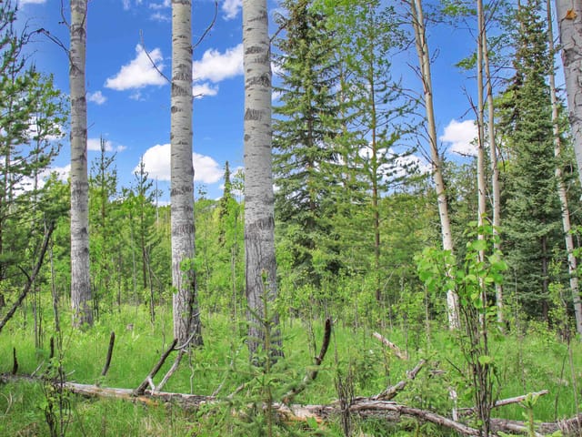 Lot for sale in Bridge Lake, 100 Mile House, PROP Lot 19 Brown Road, 263095573 | Realtylink.org