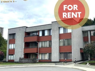 Apartment for rent in Burnaby, Burnaby North, 109 9270 Salish Court, 263097676 | Realtylink.org