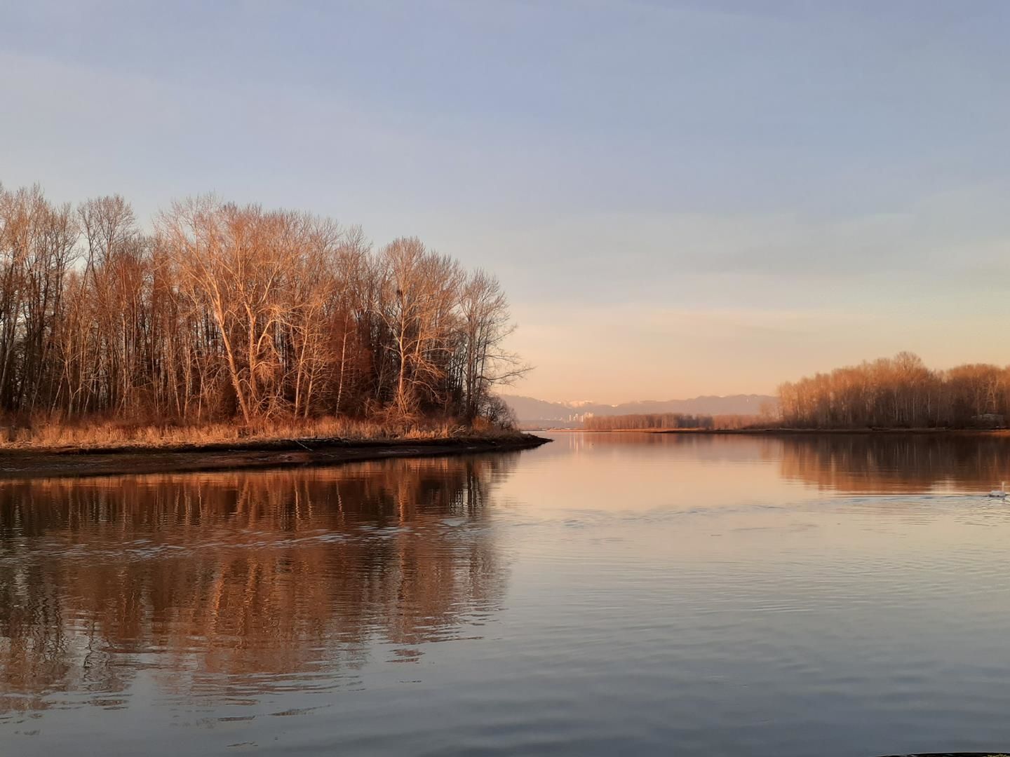 Other Property for sale in Delta, Ladner, 2 4485 W River Road, 263097751 | Realtylink.org