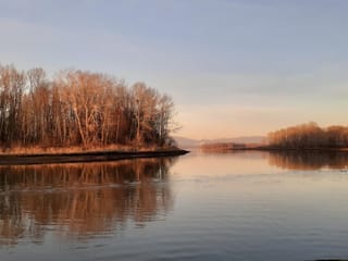 Other Property for sale in Delta, Ladner, 2 4485 W River Road, 263097751 | Realtylink.org