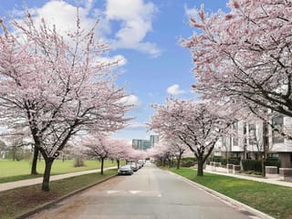 Townhouse for sale in Vancouver, Vancouver West, 7623 Yukon Street, 263098434 | Realtylink.org