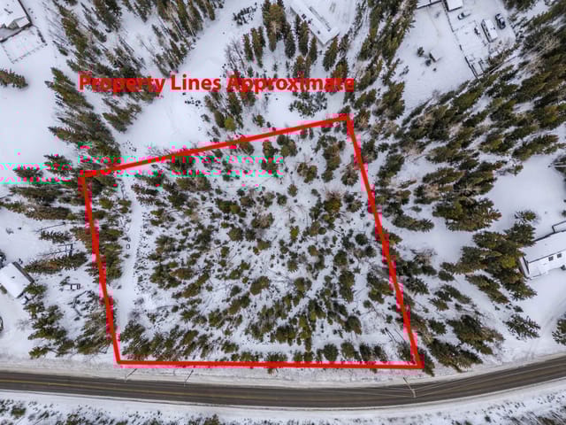 Lot for sale in Horse Lake, 100 Mile House, 6317 Horse Lake Road, 263099557 | Realtylink.org