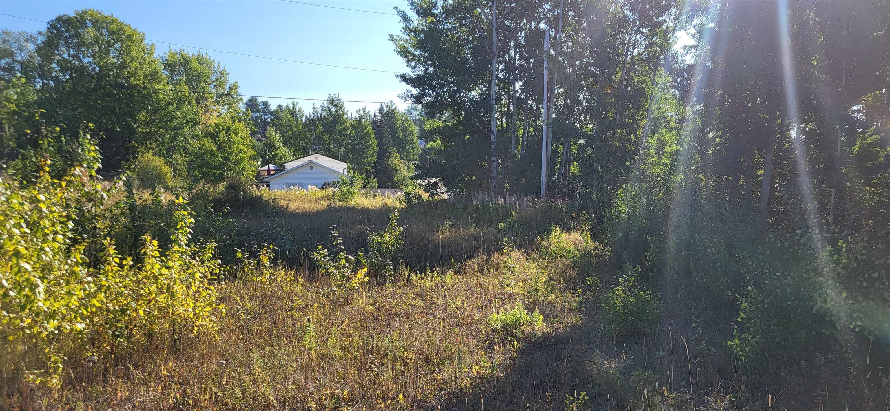 Lot for sale in Burns Lake, Burns Lake, 253 1st Avenue, 263100237 | Realtylink.org