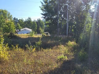 Lot for sale in Burns Lake, Burns Lake, 253 1st Avenue, 263100237 | Realtylink.org