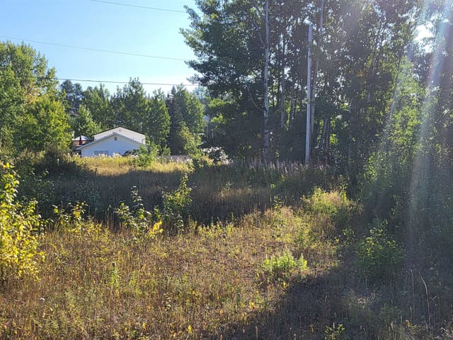 Lot for sale in Burns Lake, Burns Lake, 253 1st Avenue, 263100237 | Realtylink.org