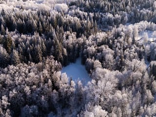 Lot for sale in Prince George, PG City West, LOT 24 Beger Road, 263100532 | Realtylink.org