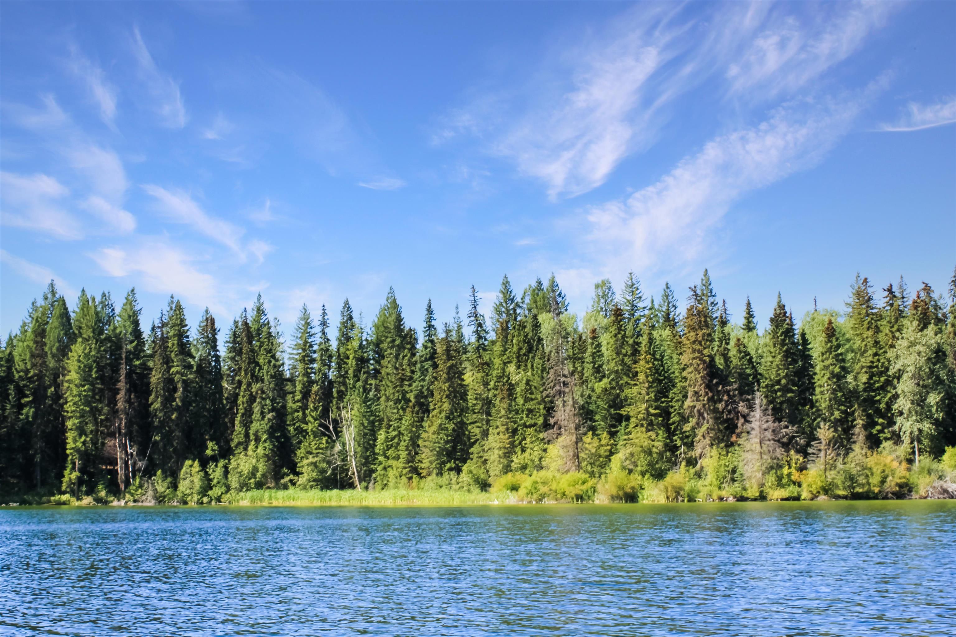 Lot for sale in Bridge Lake, 100 Mile House, PROP Lot 8 Brown Road, 263101689 | Realtylink.org