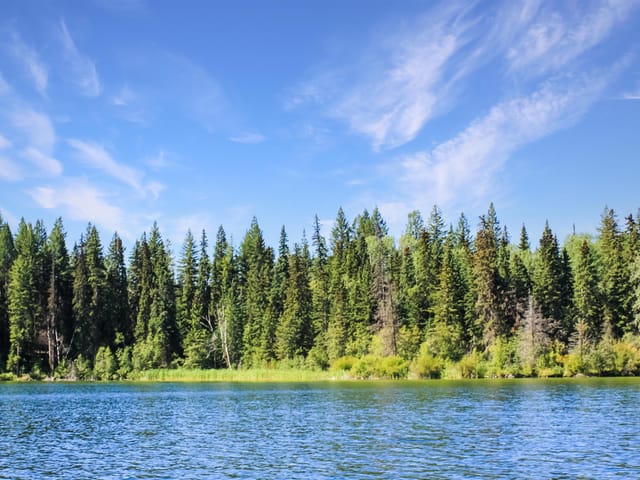 Lot for sale in Bridge Lake, 100 Mile House, PROP Lot 8 Brown Road, 263101689 | Realtylink.org