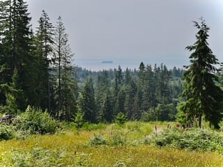 Lot for sale in Gibsons, Sunshine Coast, 1491 Reed Road, 263102088 | Realtylink.org