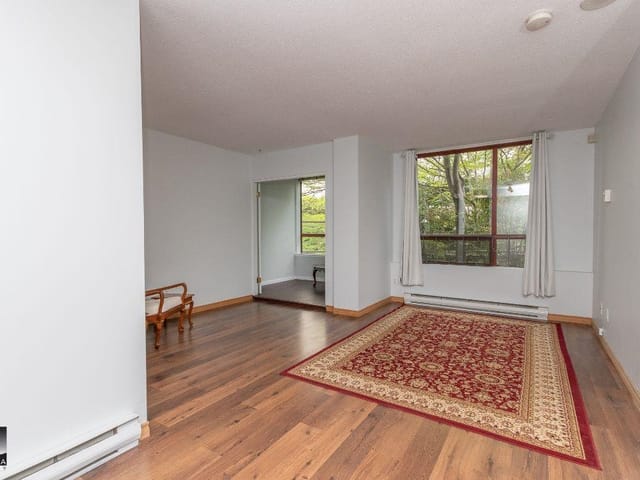 Apartment for rent in Vancouver, Vancouver West, 207 811 Helmcken Street, 263103504 | Realtylink.org