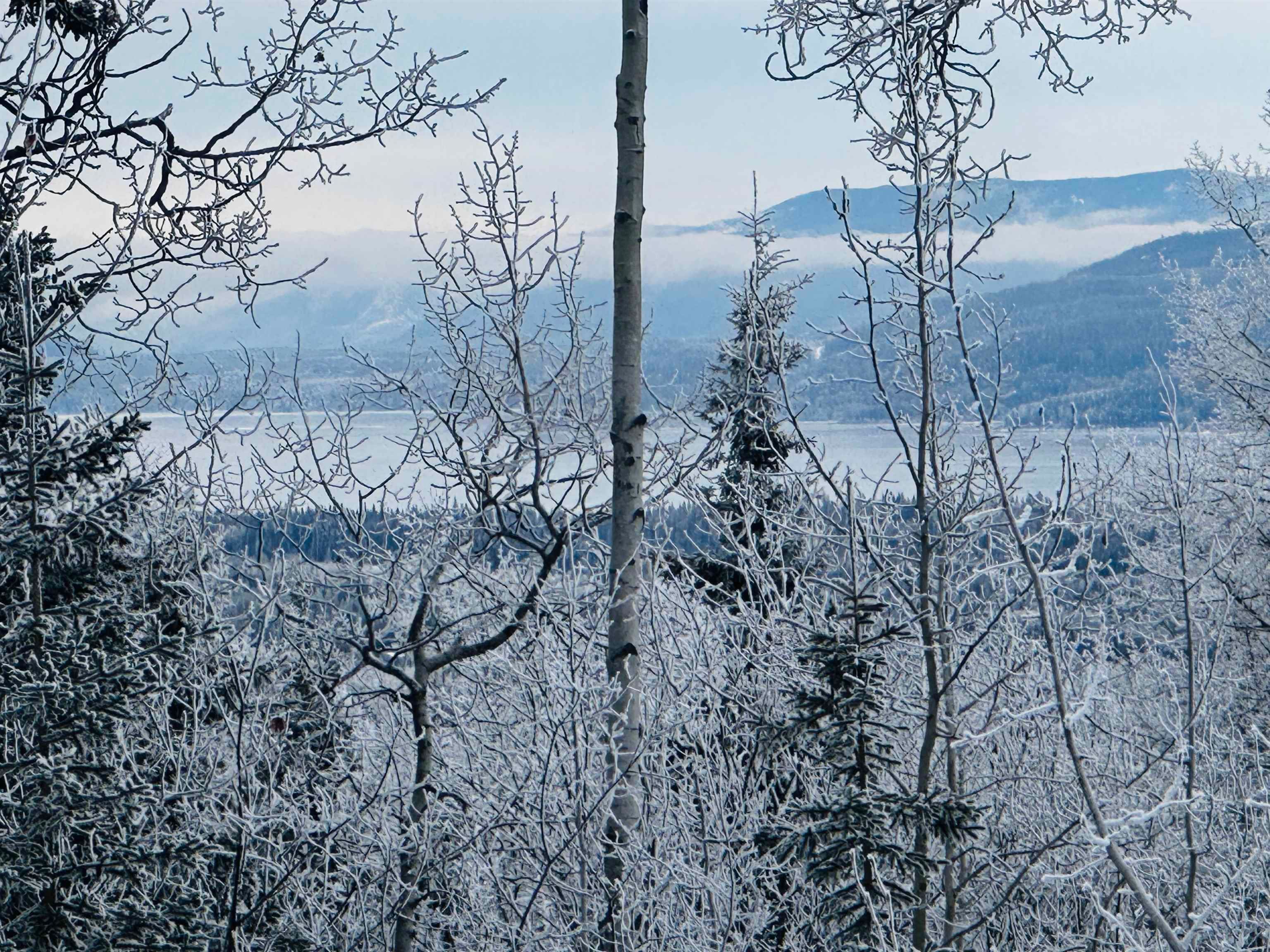 Lot for sale in Burns Lake, Burns Lake, Lot a Bald Hill Road, 263103703 | Realtylink.org