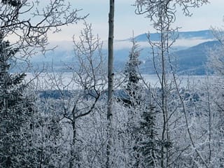 Lot for sale in Burns Lake, Burns Lake, Lot a Bald Hill Road, 263103703 | Realtylink.org