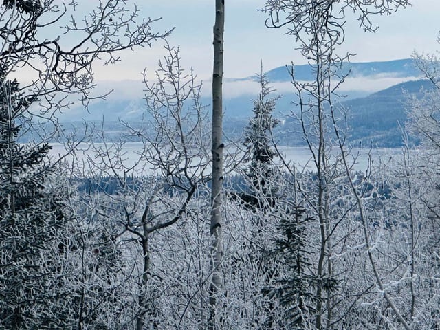 Lot for sale in Burns Lake, Burns Lake, Lot a Bald Hill Road, 263103703 | Realtylink.org