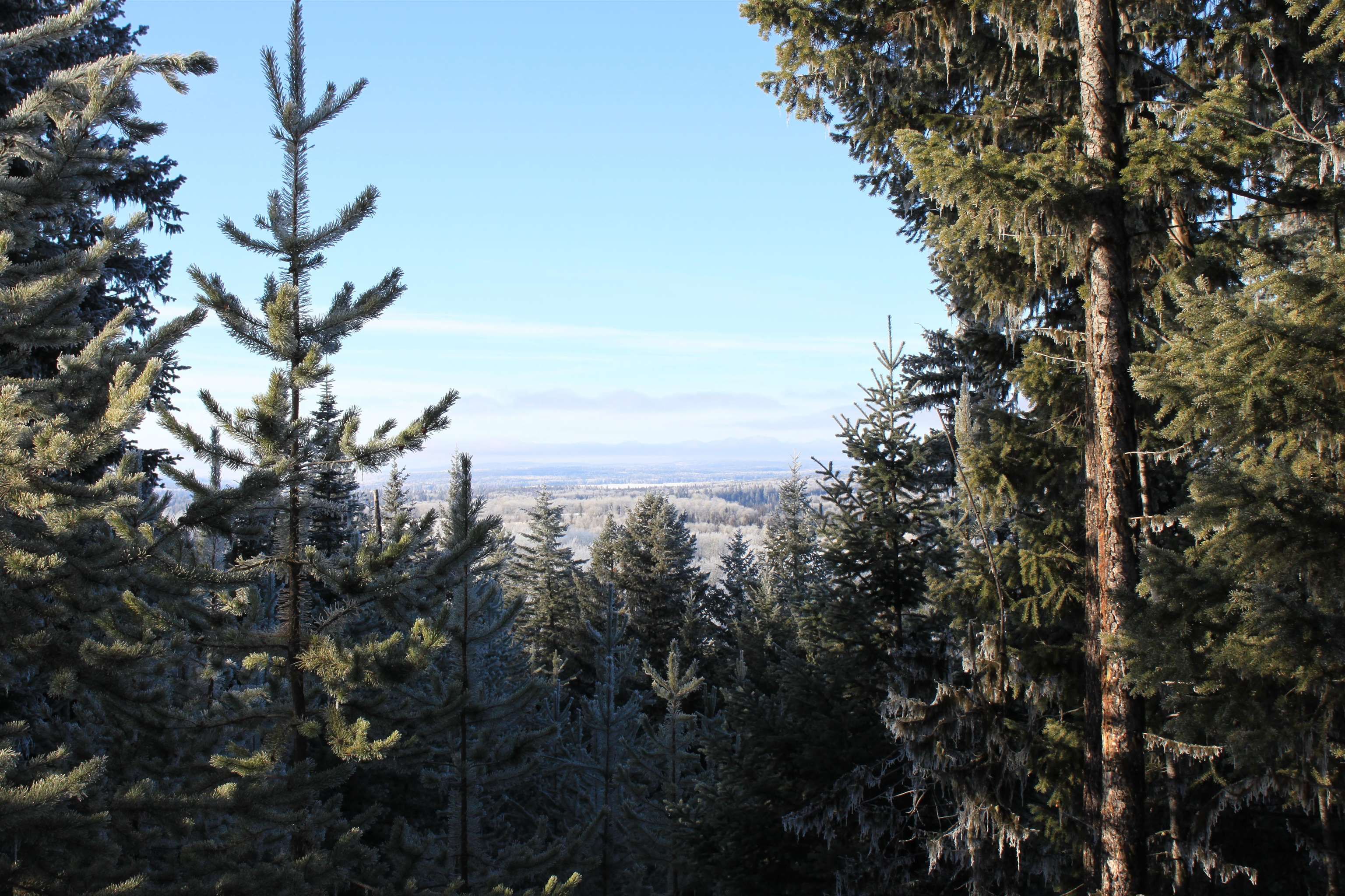 Lot for sale in Bridge Lake, 100 Mile House, PROP Lot 28 Brown Road, 263103753 | Realtylink.org