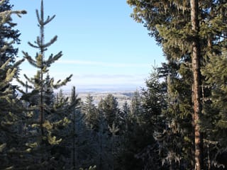 Lot for sale in Bridge Lake, 100 Mile House, PROP Lot 28 Brown Road, 263103753 | Realtylink.org