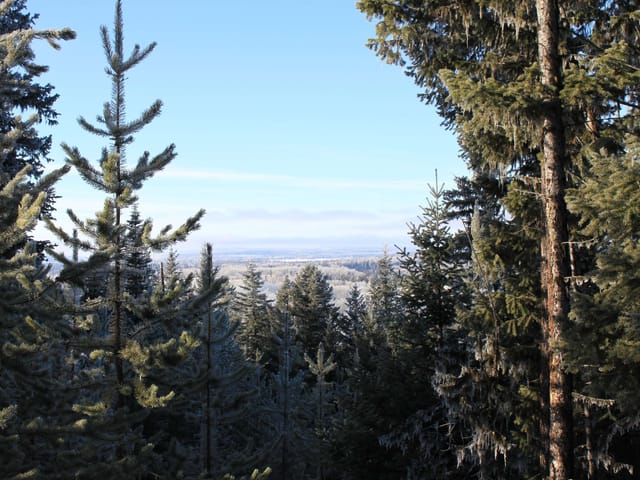 Lot for sale in Bridge Lake, 100 Mile House, PROP Lot 28 Brown Road, 263103753 | Realtylink.org