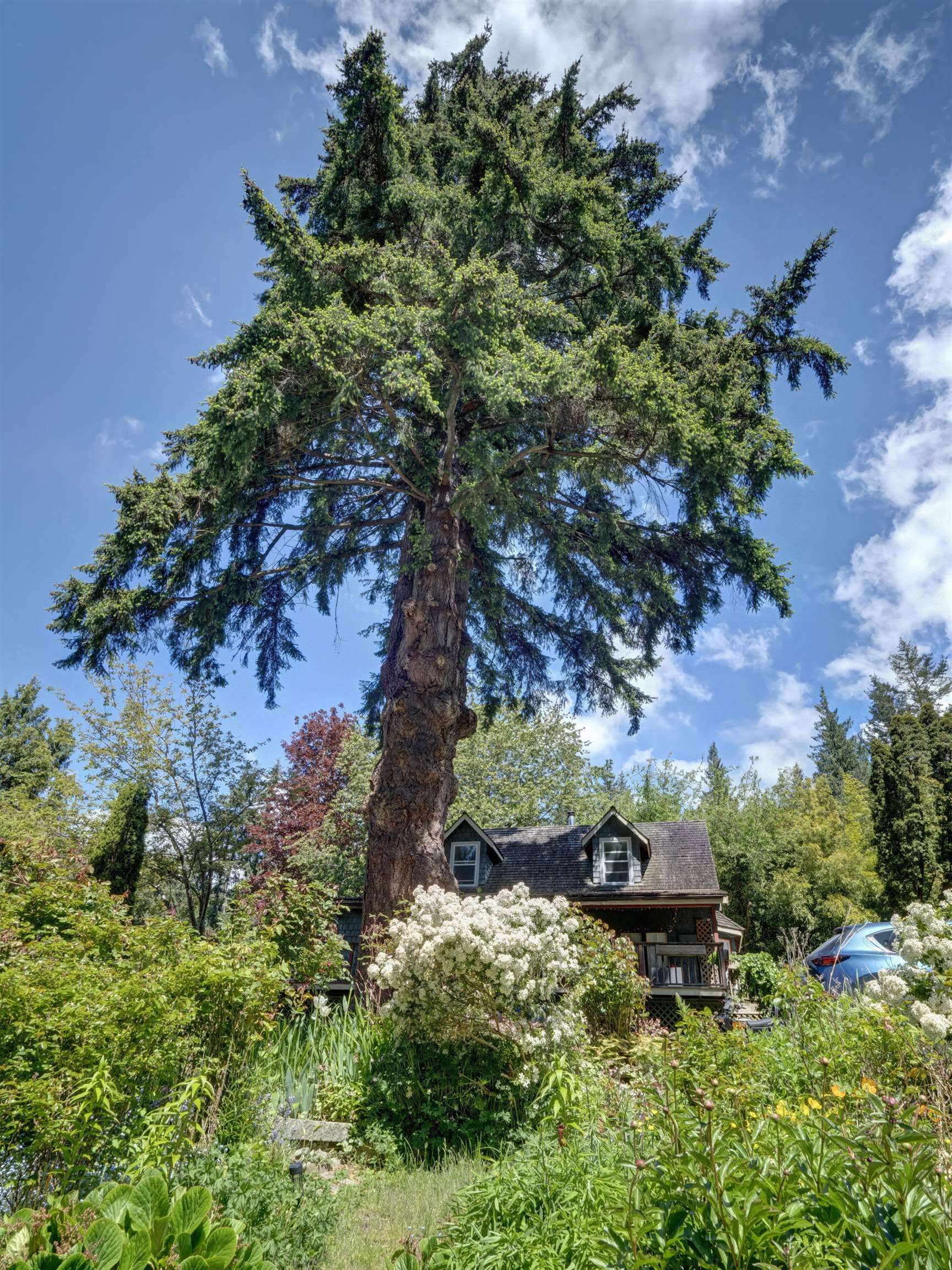 House for sale in Roberts Creek, Sunshine Coast, 2602 Lower Road, 263103817 | Realtylink.org