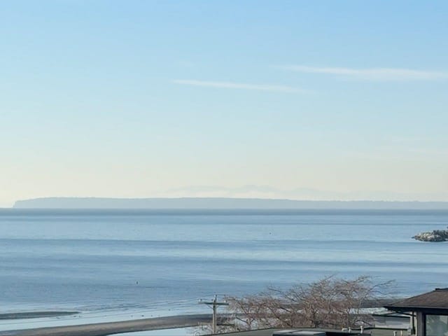 Apartment for sale in White Rock, South Surrey White Rock, 406 15621 Marine Drive, 263105055 | Realtylink.org