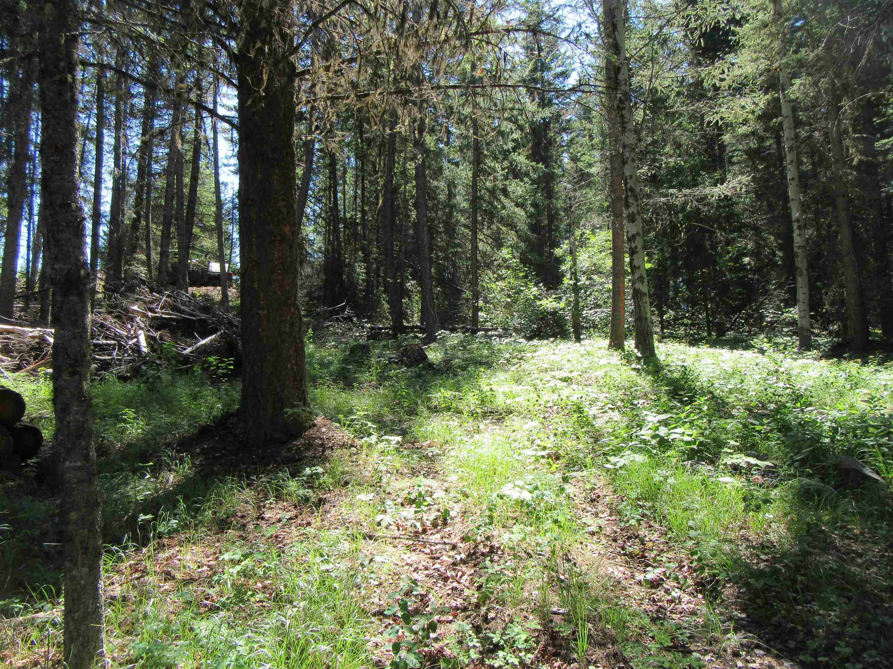 Lot for sale in Deka Lake / Sulphurous / Hathawa, 100 Mile House, LOT 194 Bergstrom Road, 263105382 | Realtylink.org