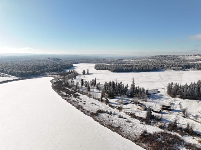 Lot for sale in 100 Mile House, 100 Mile House, 6442 Buffalo Creek Road, 263105606 | Realtylink.org