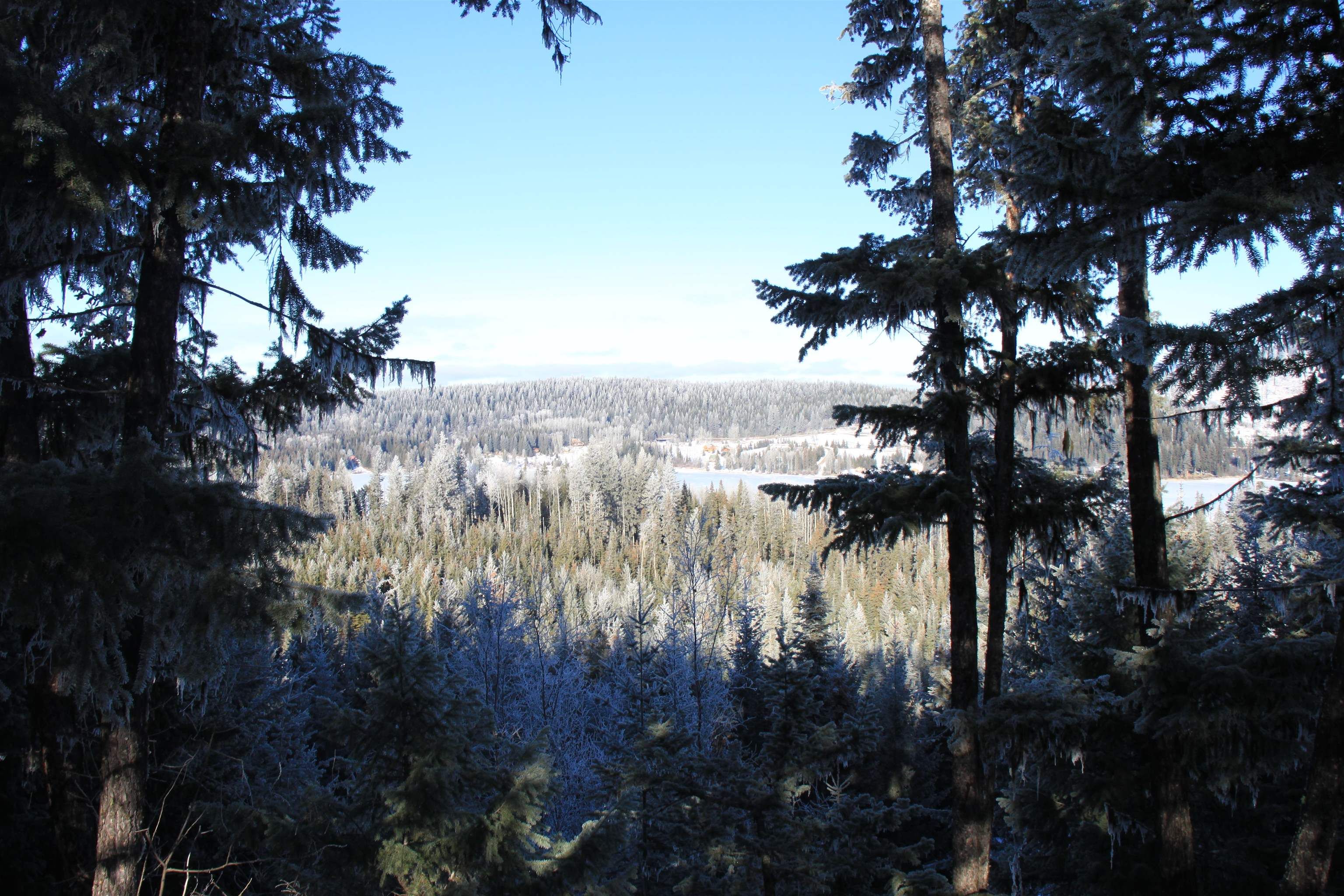 Lot for sale in Bridge Lake, 100 Mile House, PROP Lot 30 Brown Road, 263105929 | Realtylink.org