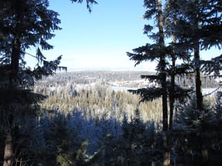 Lot for sale in Bridge Lake, 100 Mile House, PROP Lot 30 Brown Road, 263105929 | Realtylink.org