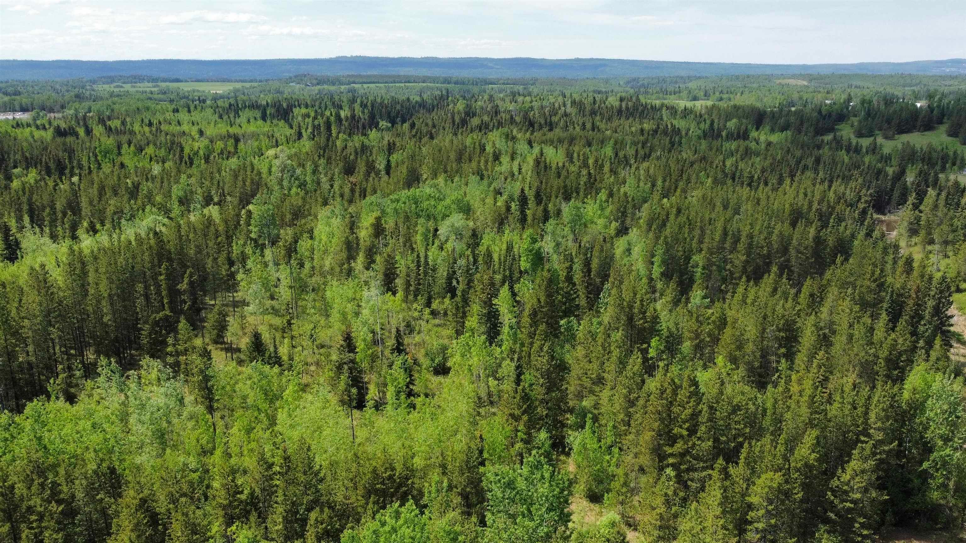 Lot for sale in Prince George, PG Rural South, Dl 1952 McRinney Road, 263106028 | Realtylink.org