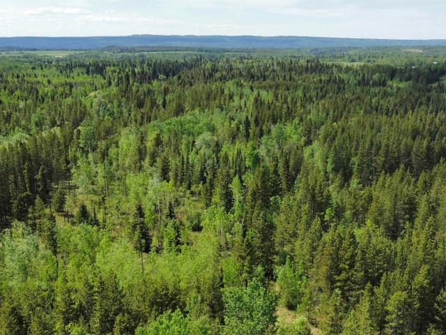 Lot for sale in Prince George, PG Rural South, Dl 1952 McRinney Road, 263106028 | Realtylink.org