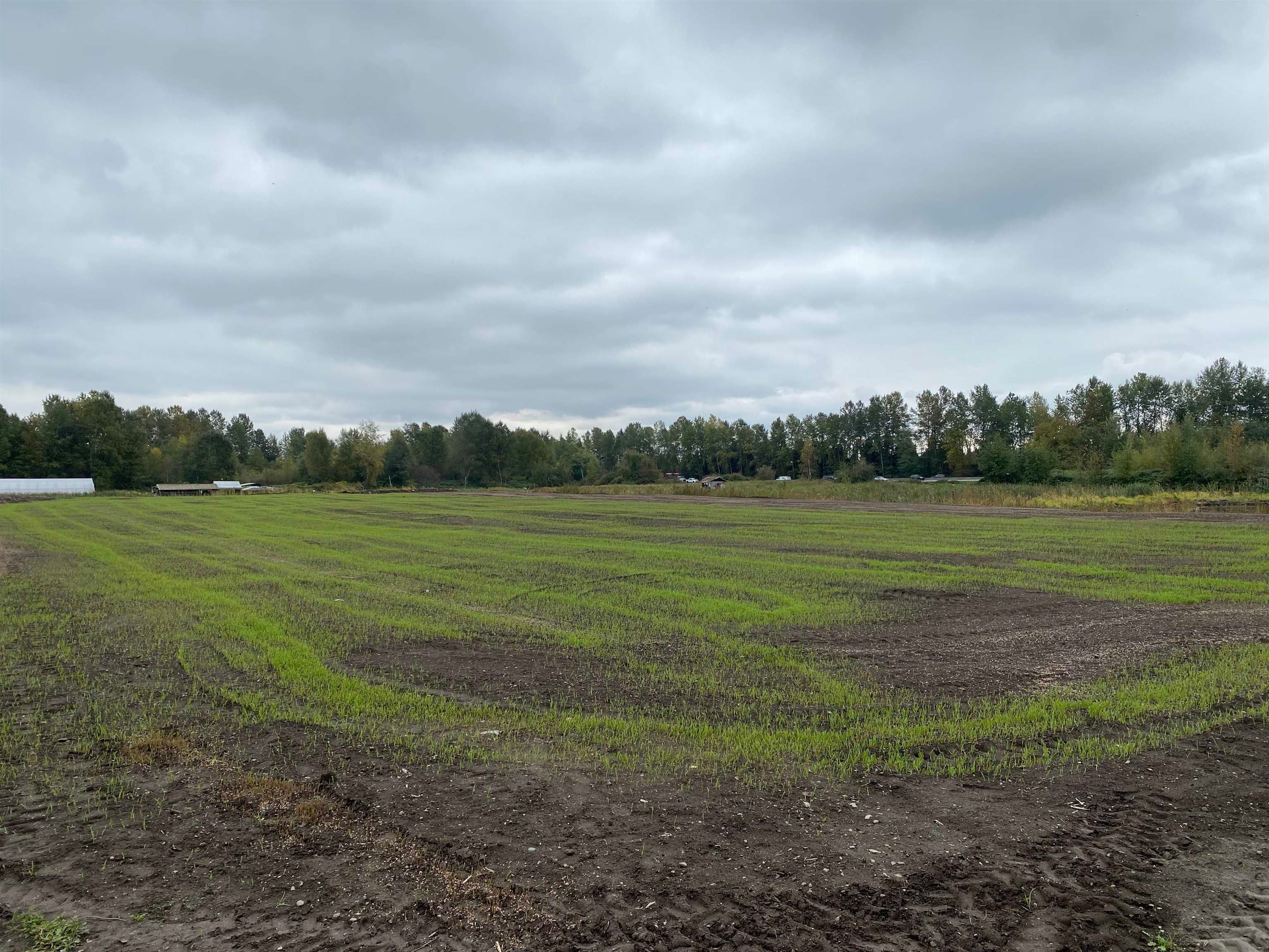 Lot for sale in Burnaby, Burnaby South, 8646 Mandeville Avenue, 263106072 | Realtylink.org