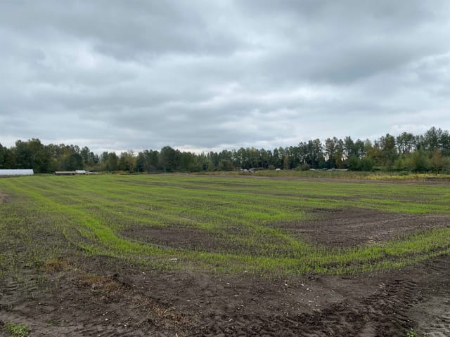 Lot for sale in Burnaby, Burnaby South, 8646 Mandeville Avenue, 263106072 | Realtylink.org