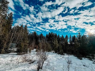 Lot for sale in Lac La Hache, 100 Mile House, 5724 Timothy Lake Road, 263106180 | Realtylink.org